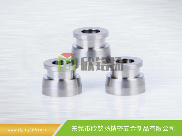 不鏽鋼(gang)金(jin)屬固配器