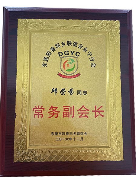 常(chang)務(wù)(wu)副會(hui)長(zhang)證書(shu)